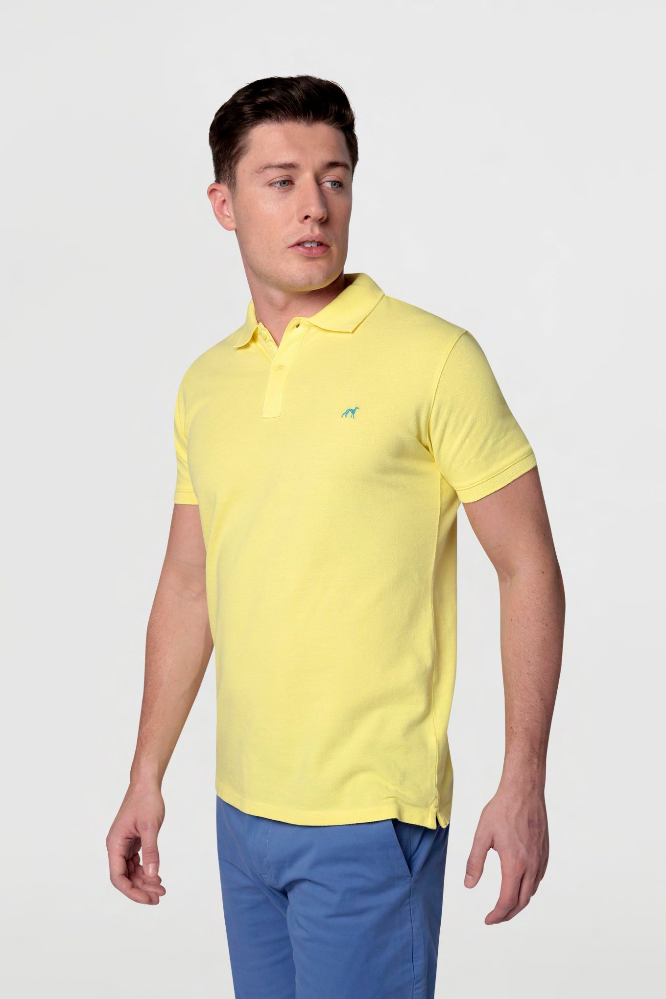 Lemonade