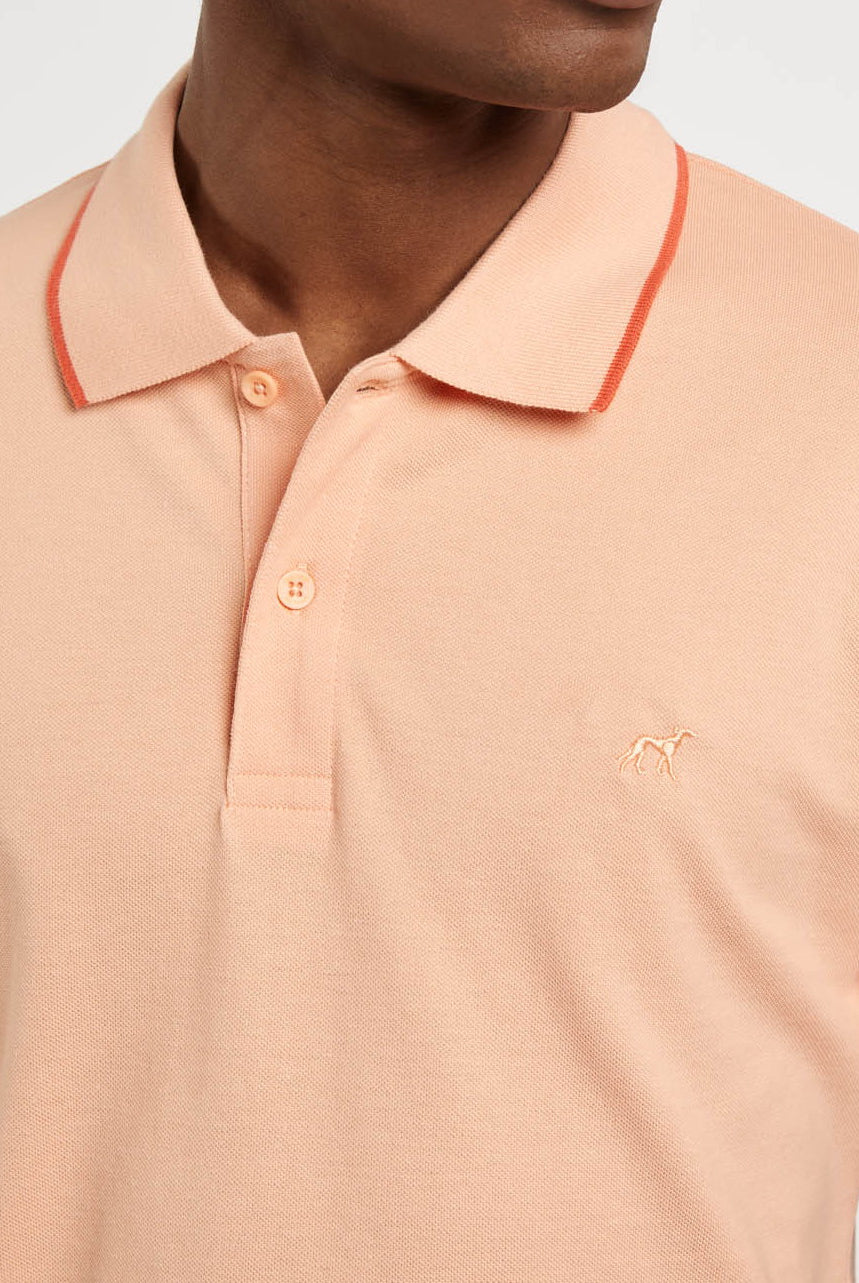 Light Orange