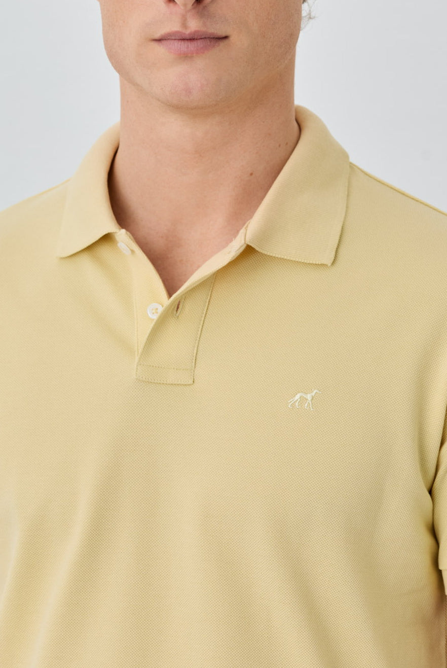 Light Yellow