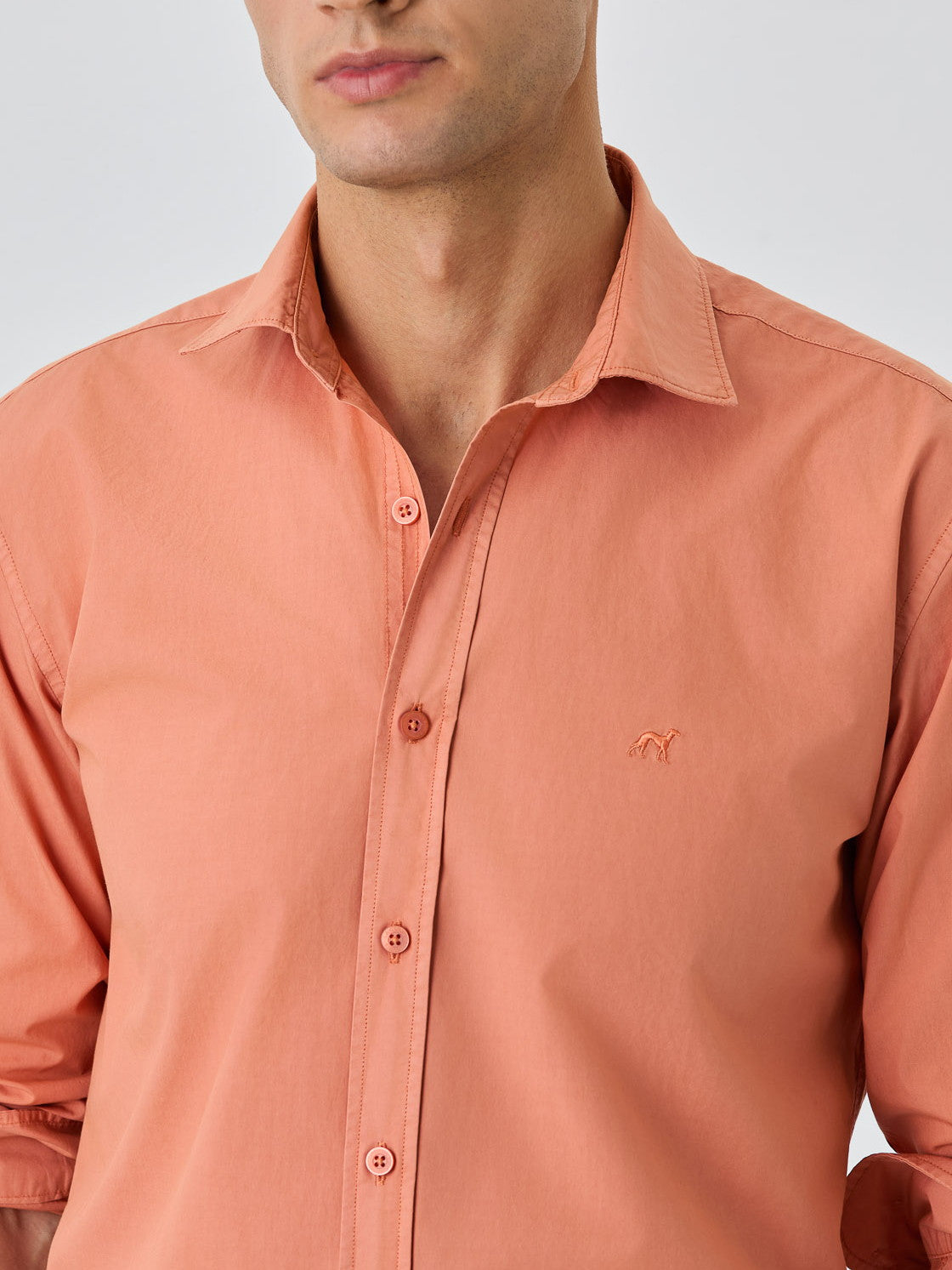 Light Orange