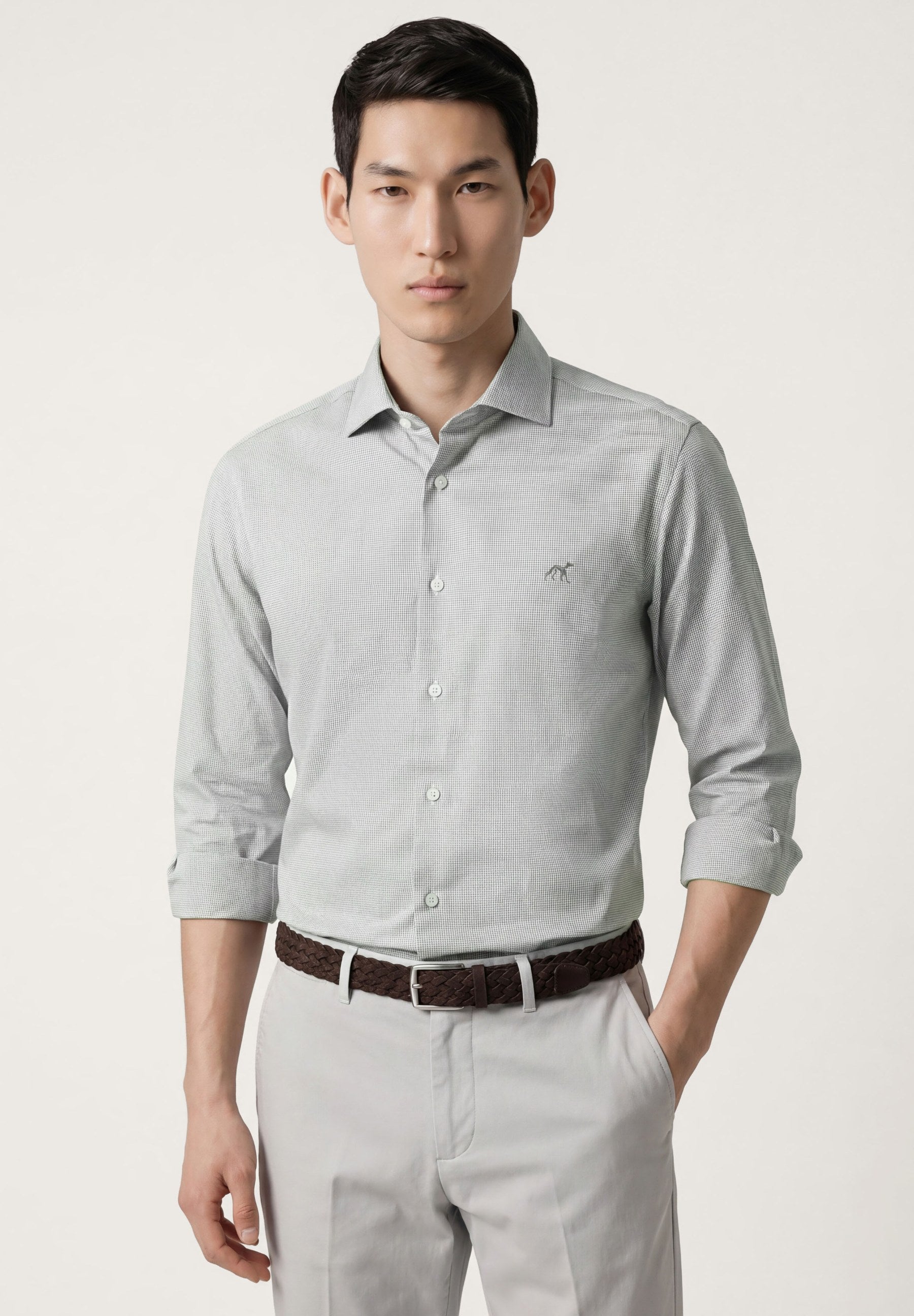 Light Grey (AI)