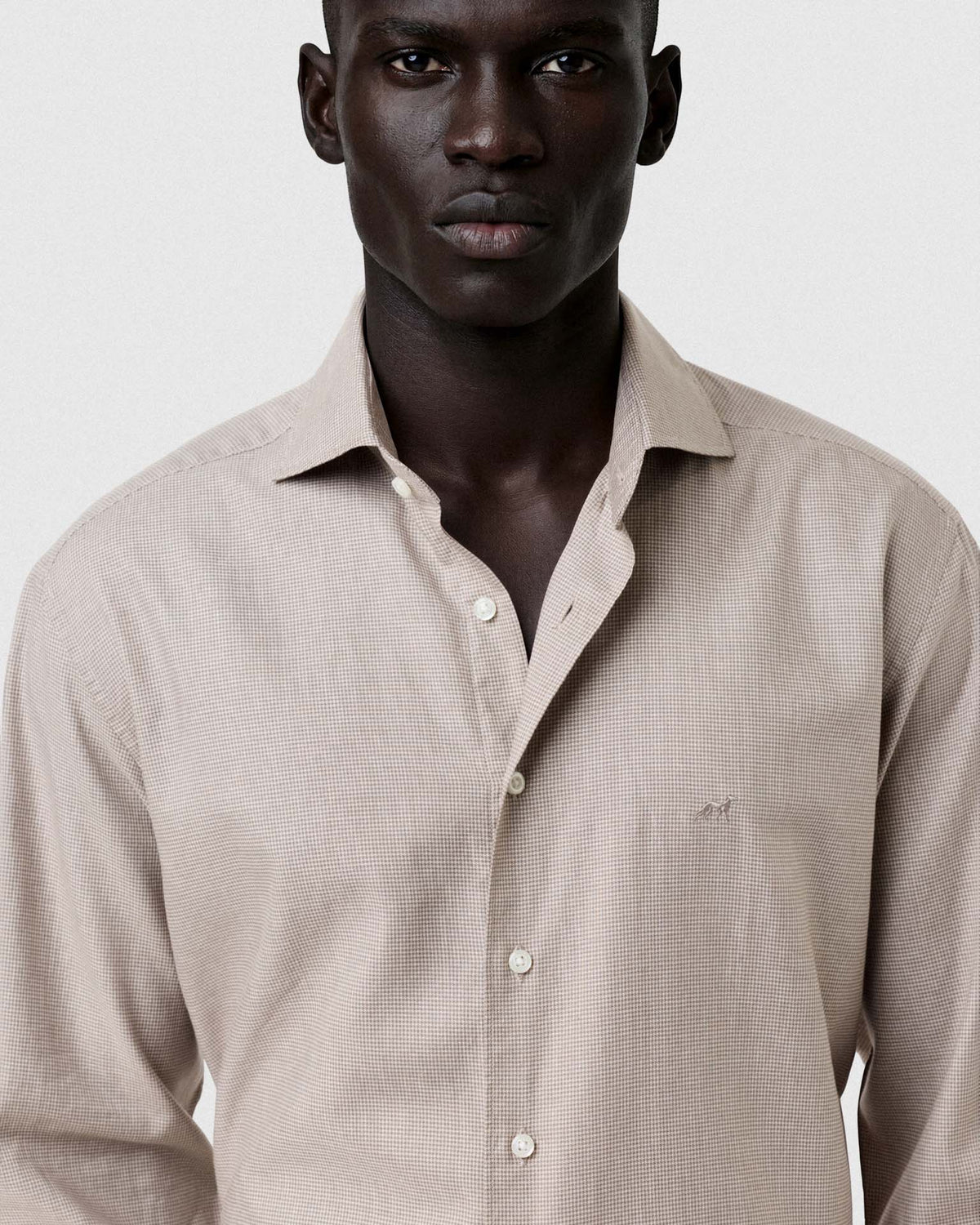 Light Brown (AI)