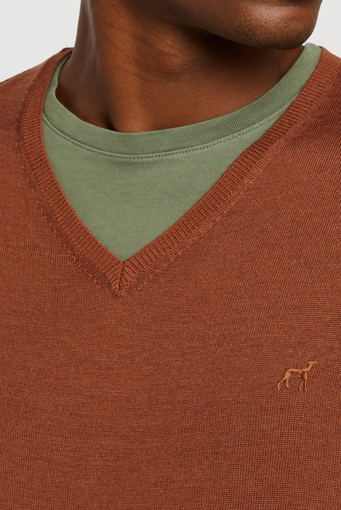Camel