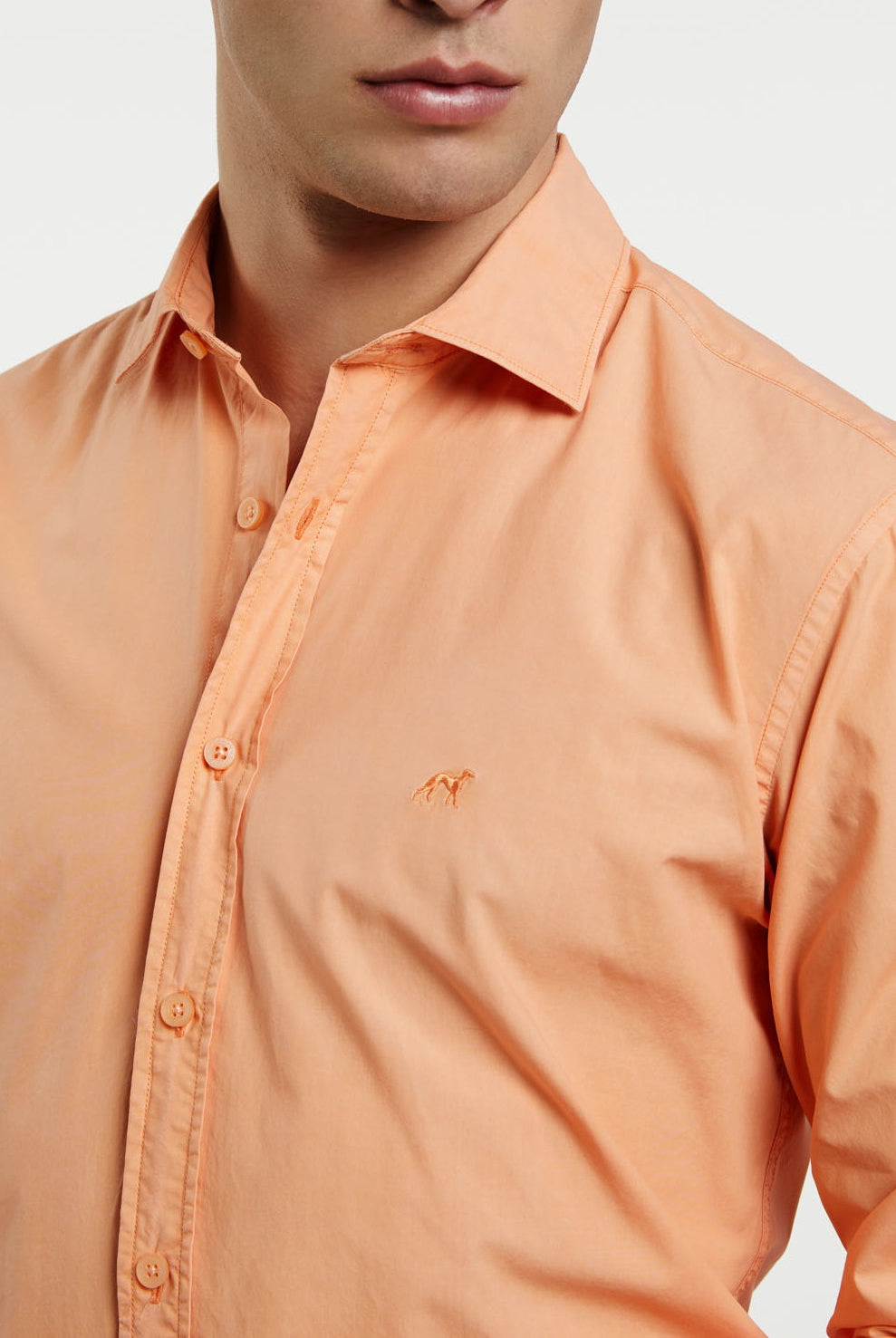 Light Orange