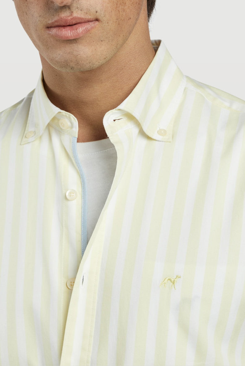 Light Yellow