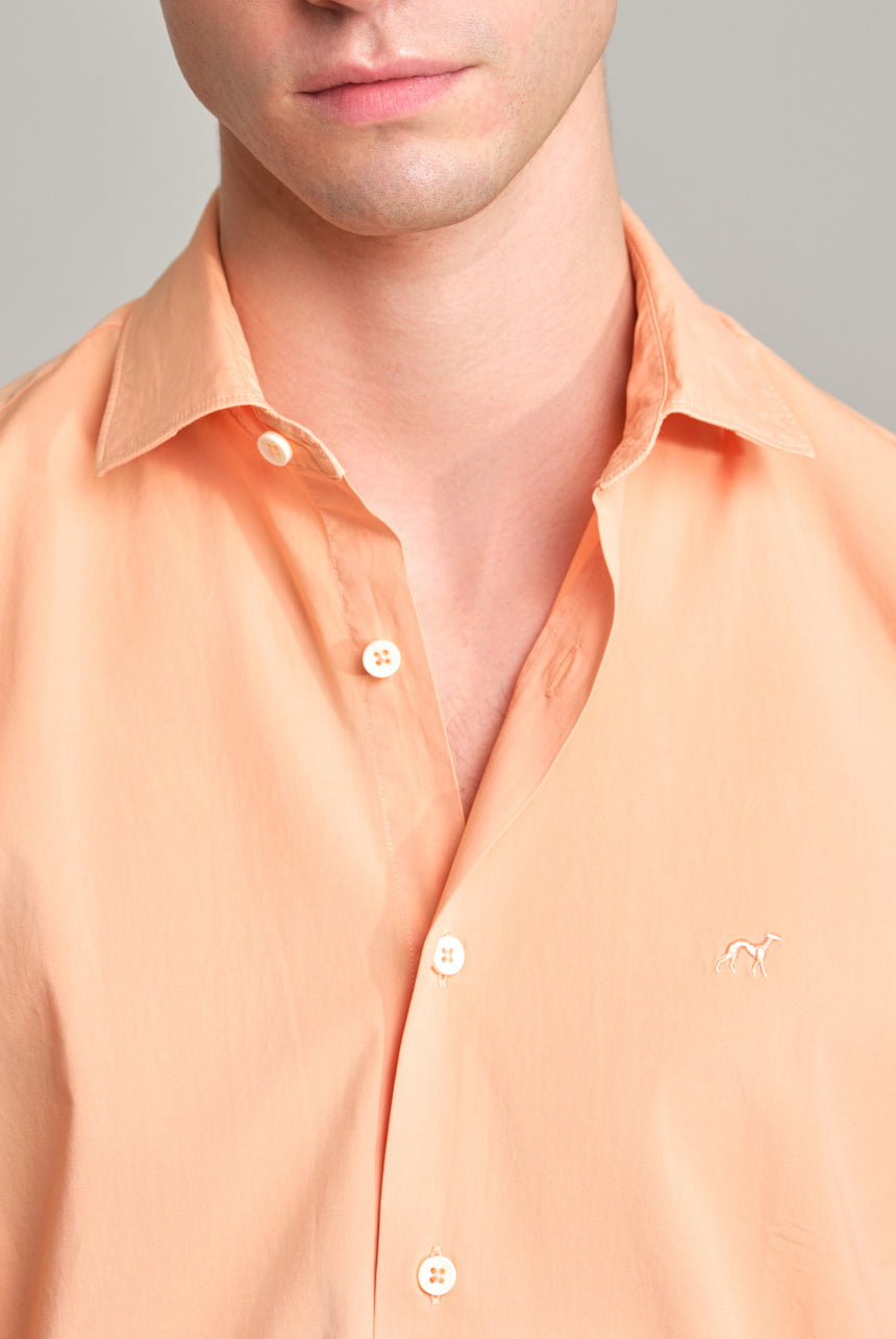 Light Orange
