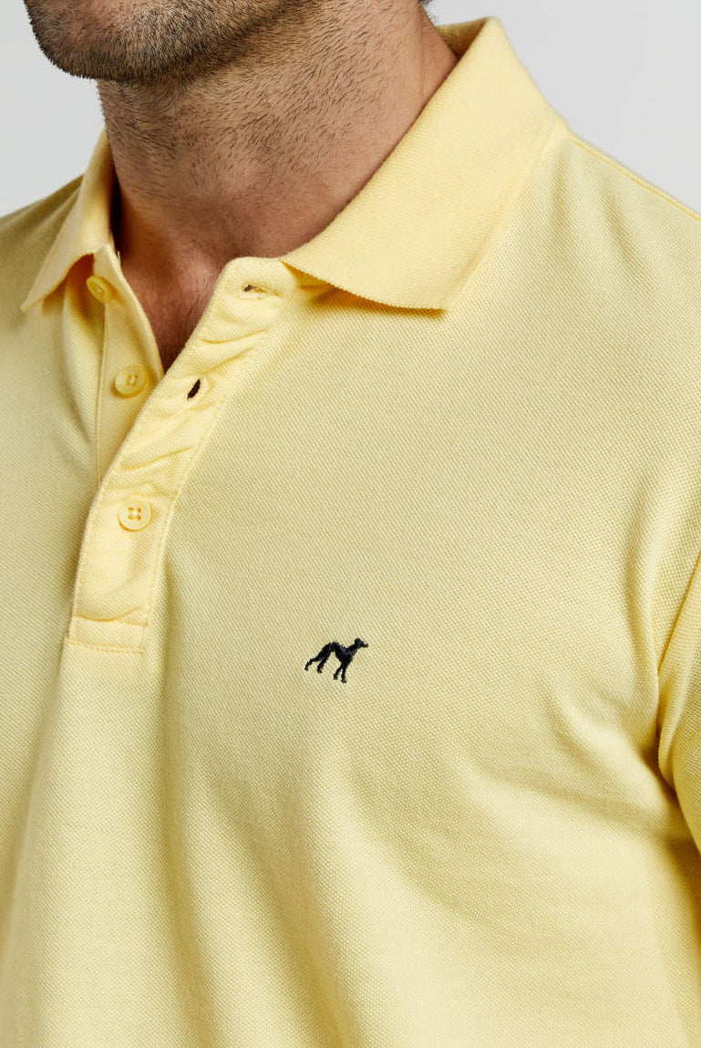 Light Yellow