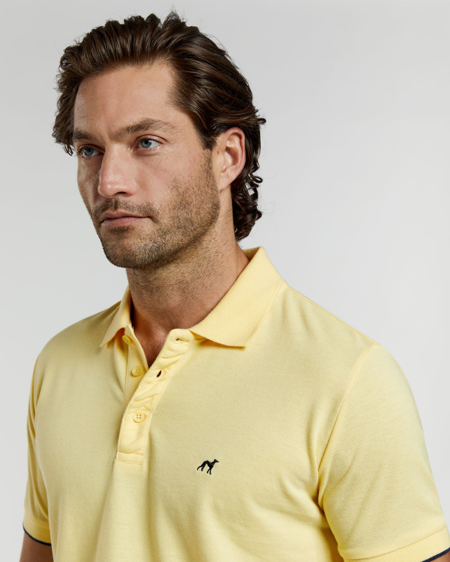 Light Yellow