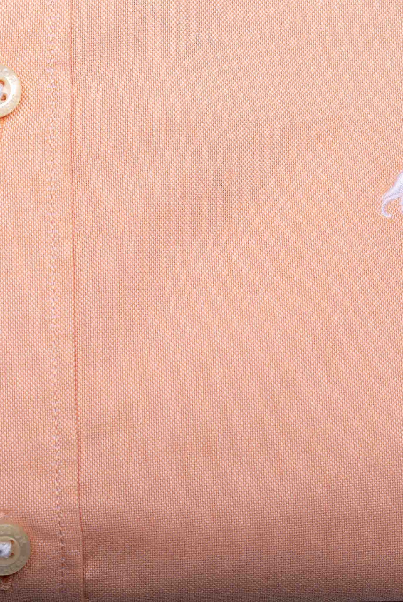 Light Orange