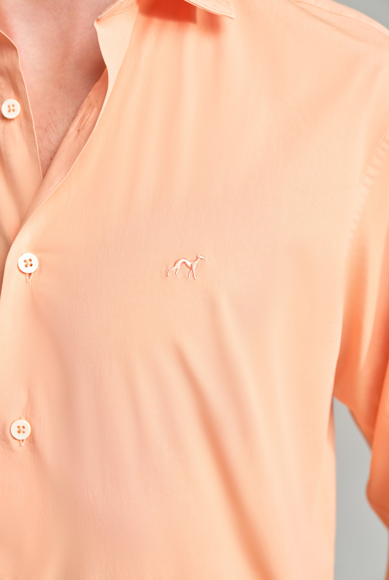 Light Orange