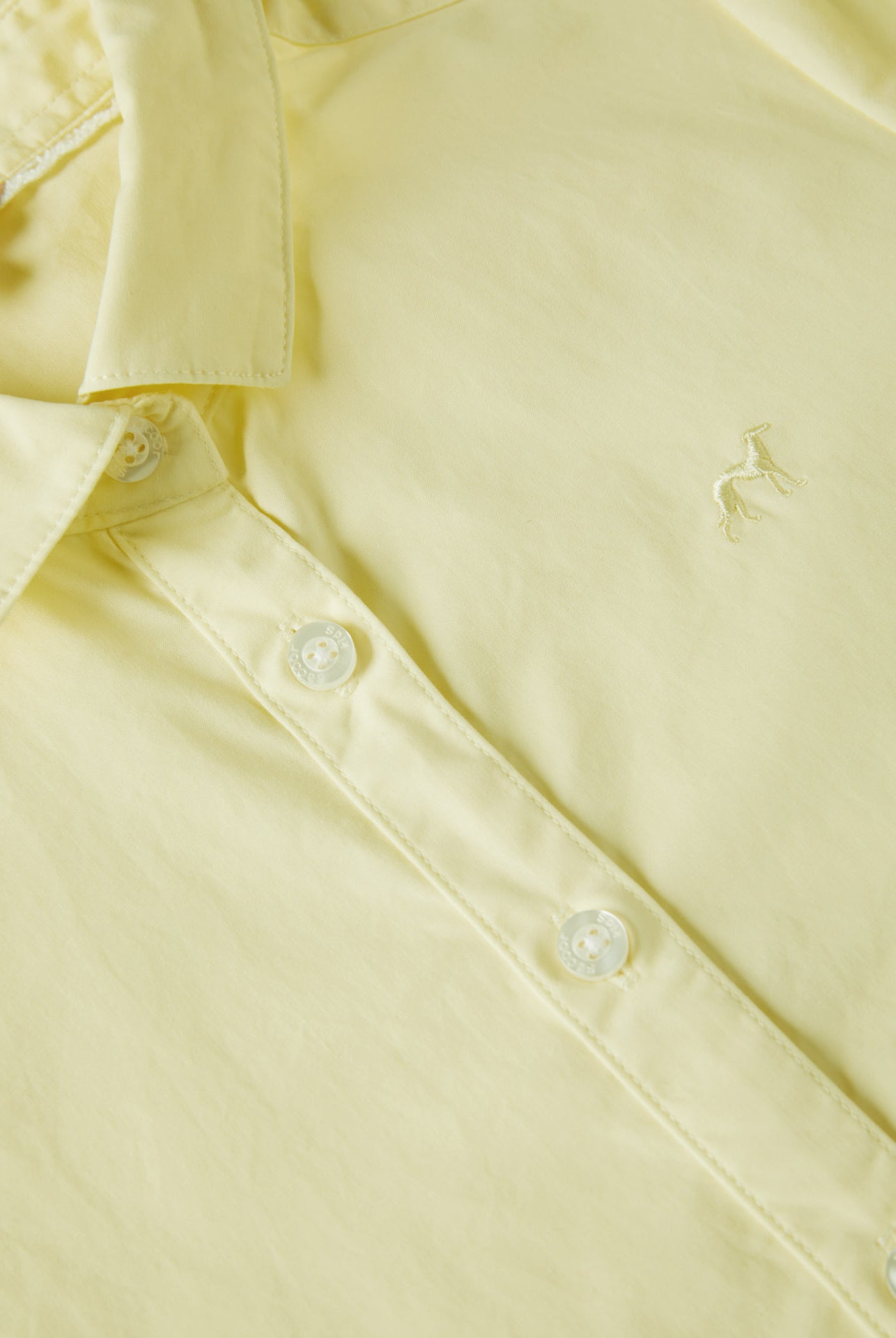 Light Yellow