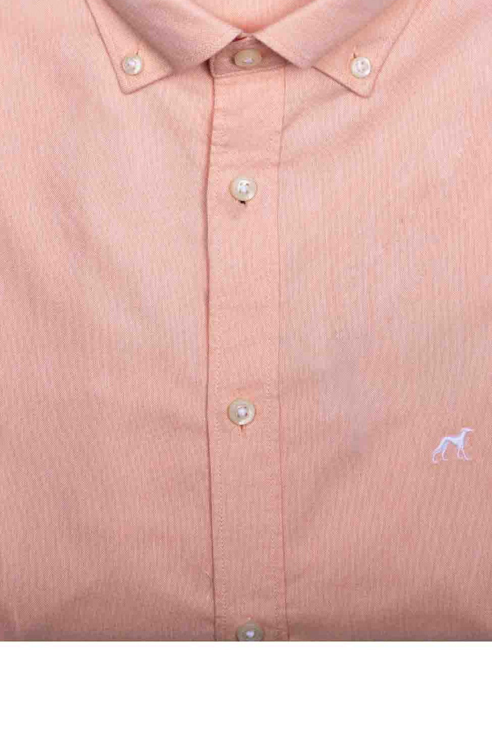Light Orange