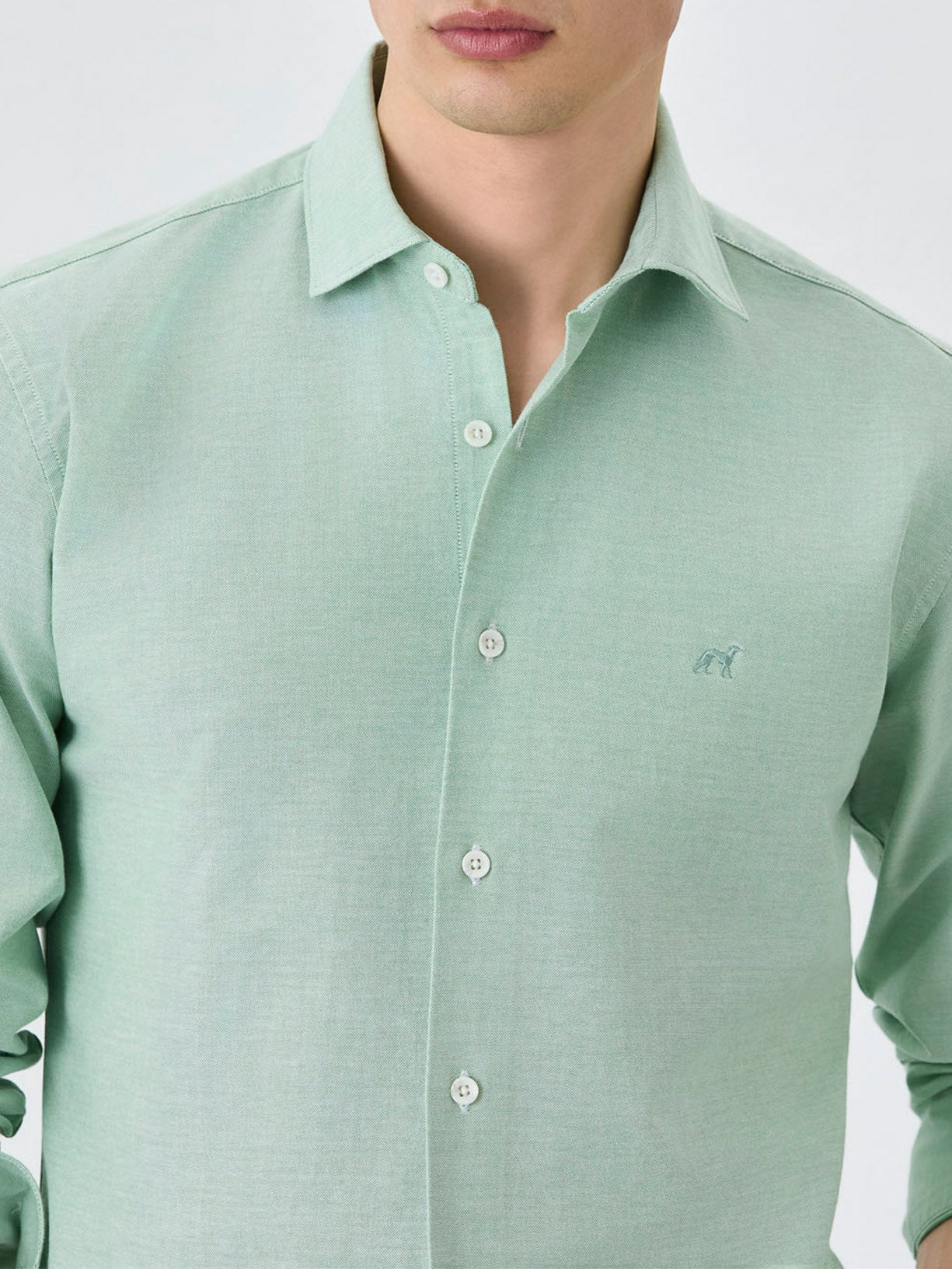 Light Green