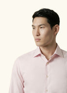 Light Pink (AI)