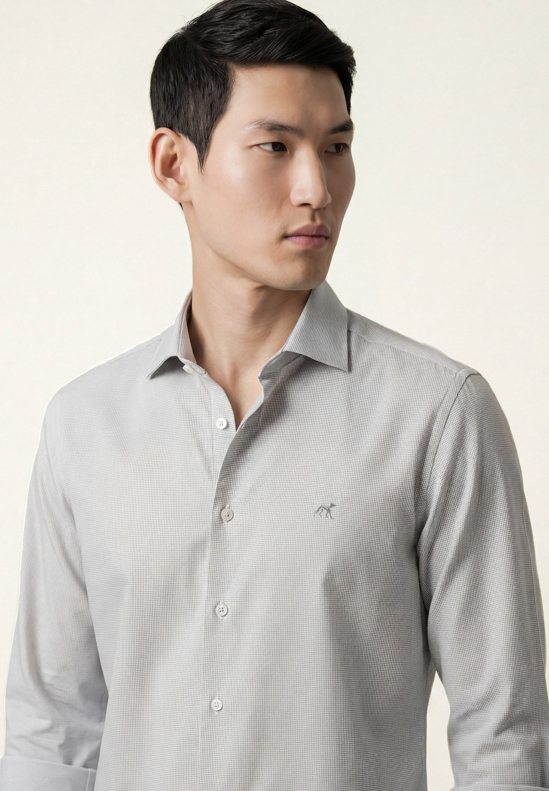 Light Grey (AI)