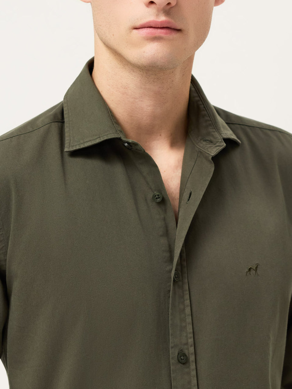 Dark Green