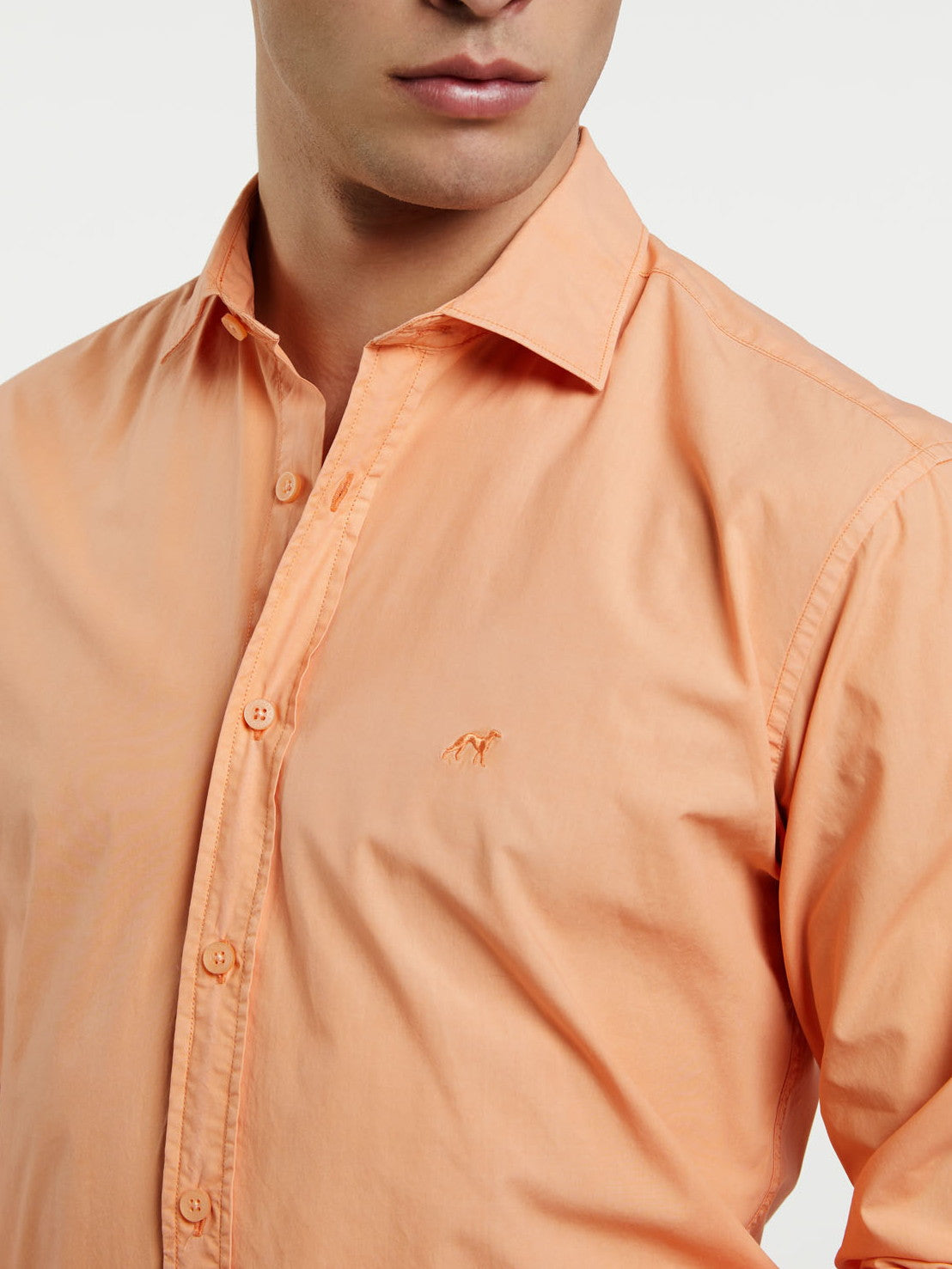 Light Orange