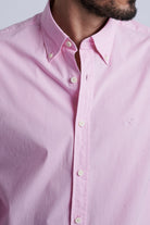 Pale Pink