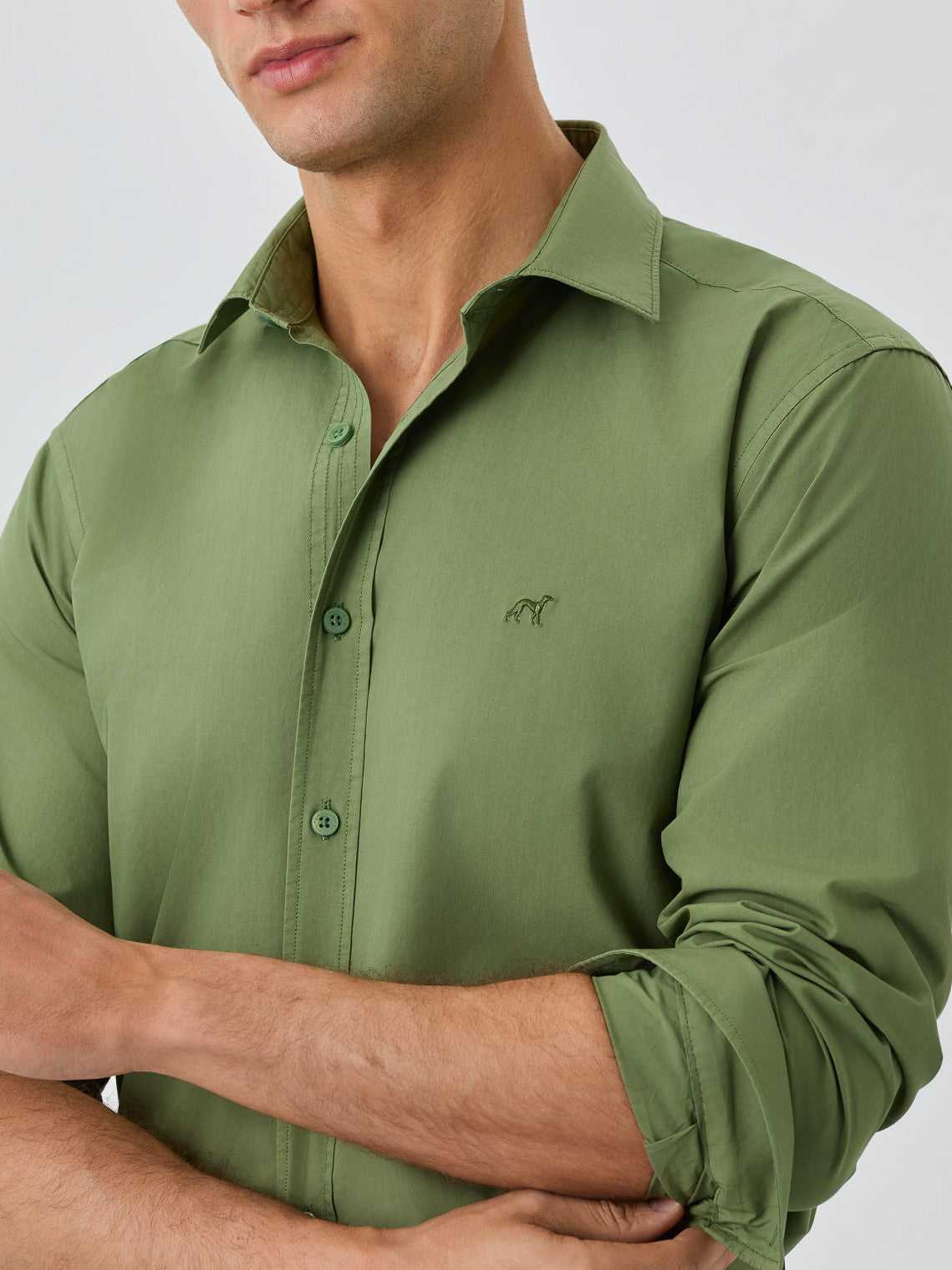 Olive Green
