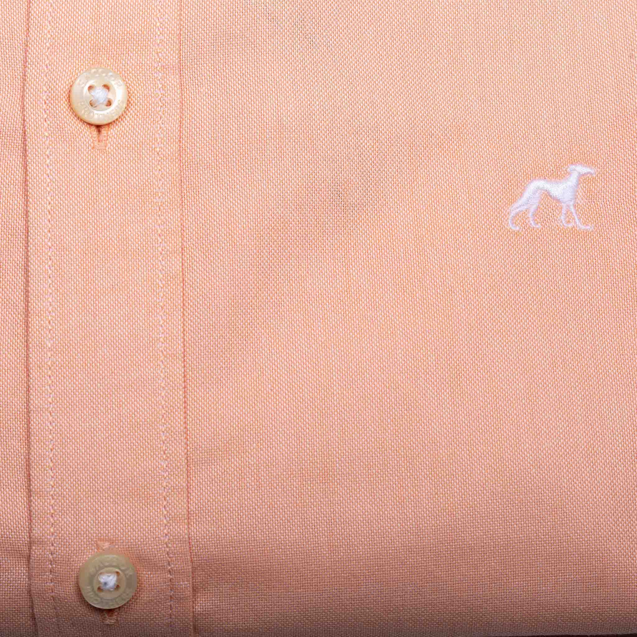 Light Orange
