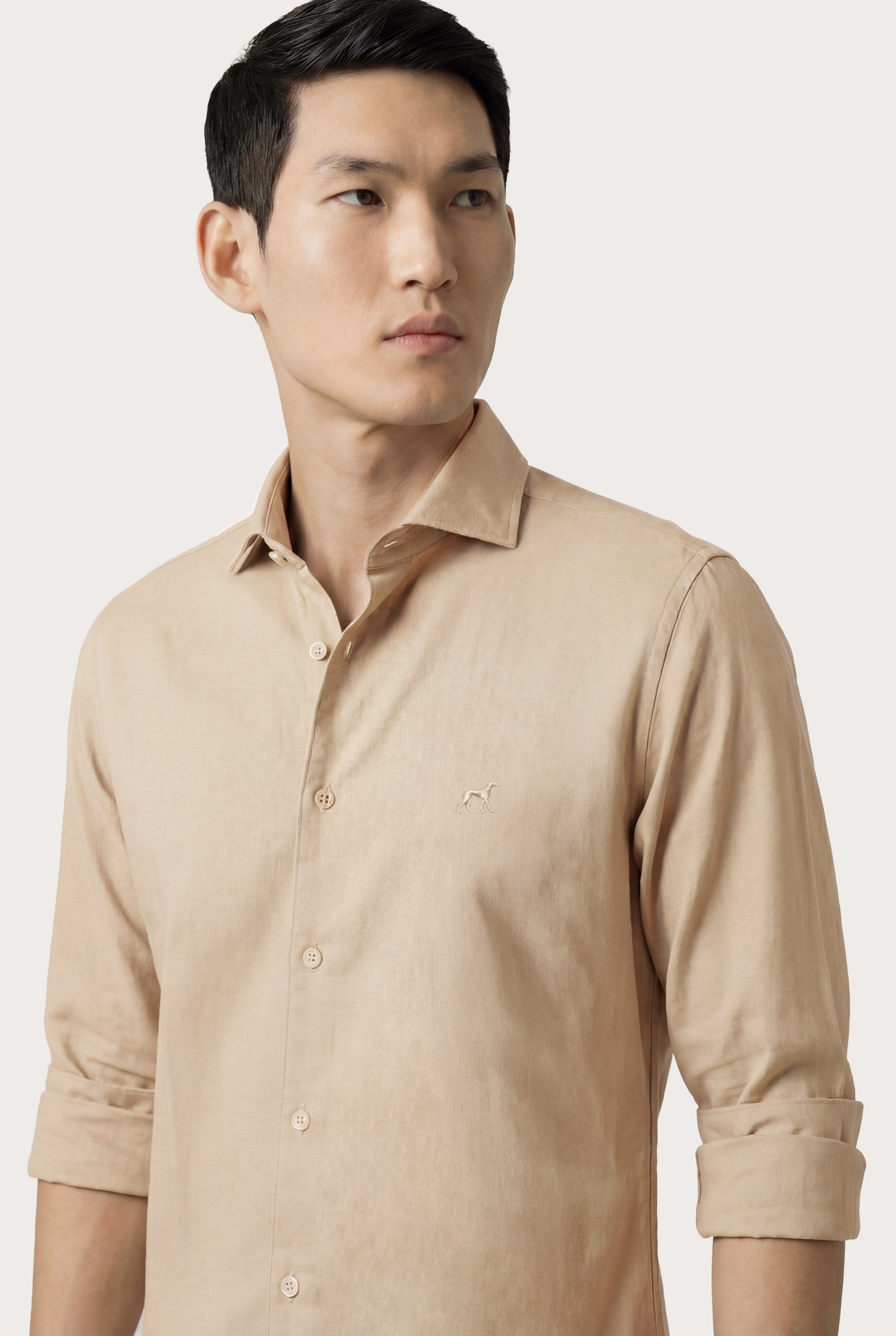 Light Beige (AI)