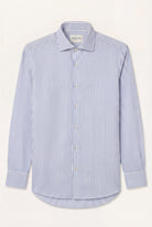 Light Blue (AI)