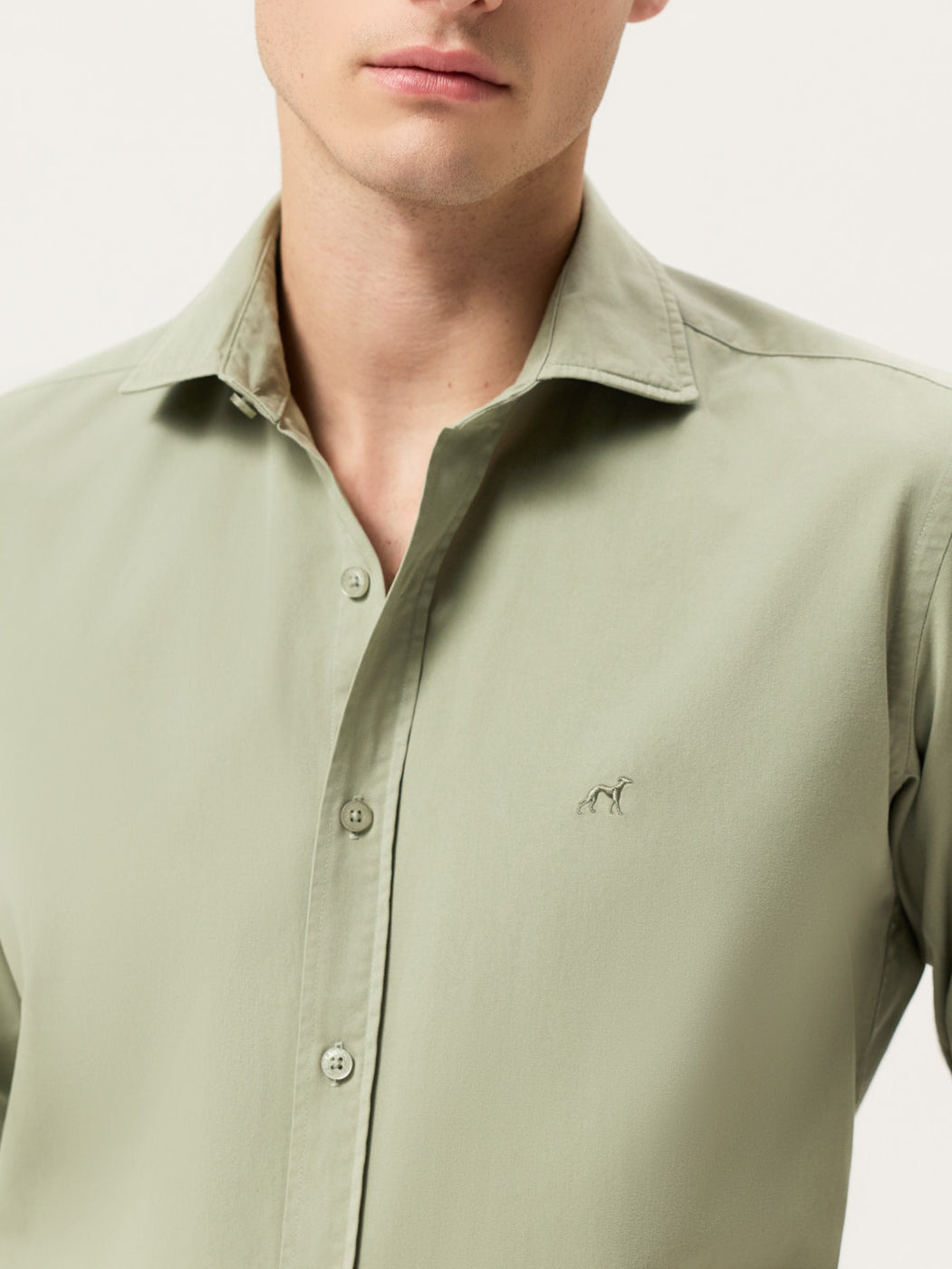 Light Green