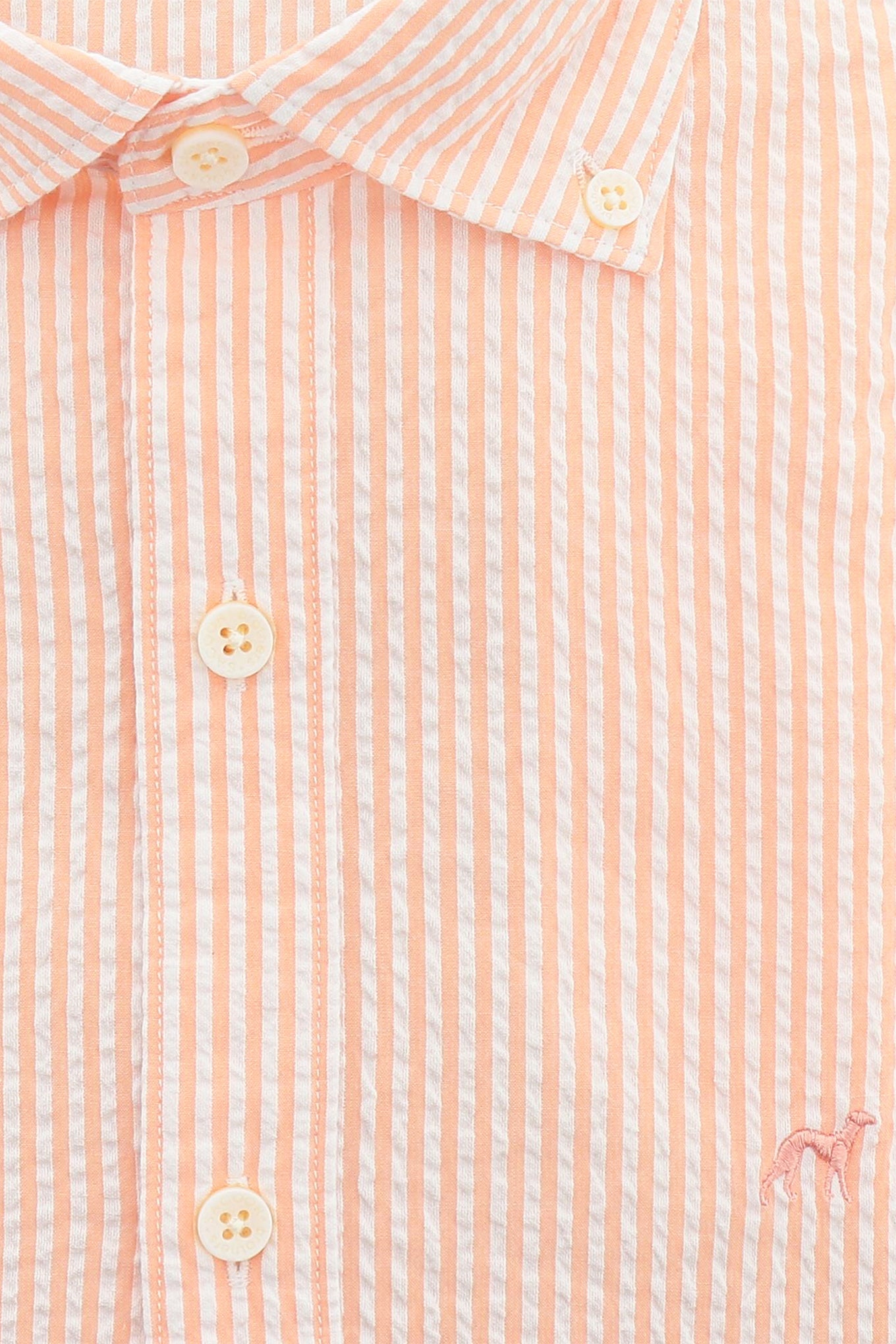 Light Orange